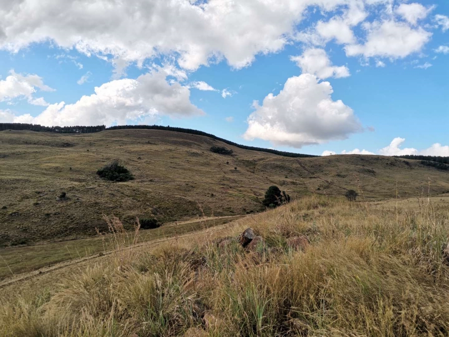 19 Bedroom Property for Sale in Donnybrook KwaZulu-Natal
