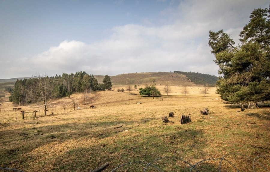 19 Bedroom Property for Sale in Donnybrook KwaZulu-Natal