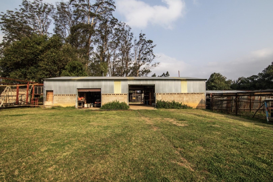 19 Bedroom Property for Sale in Donnybrook KwaZulu-Natal