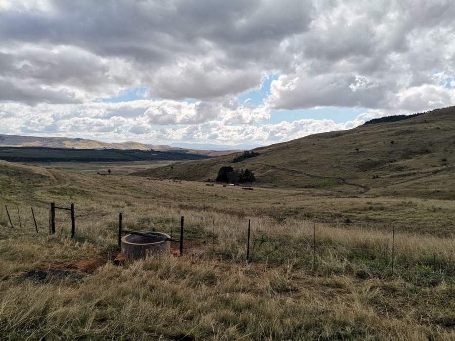 19 Bedroom Property for Sale in Donnybrook KwaZulu-Natal