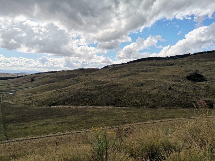 19 Bedroom Property for Sale in Donnybrook KwaZulu-Natal