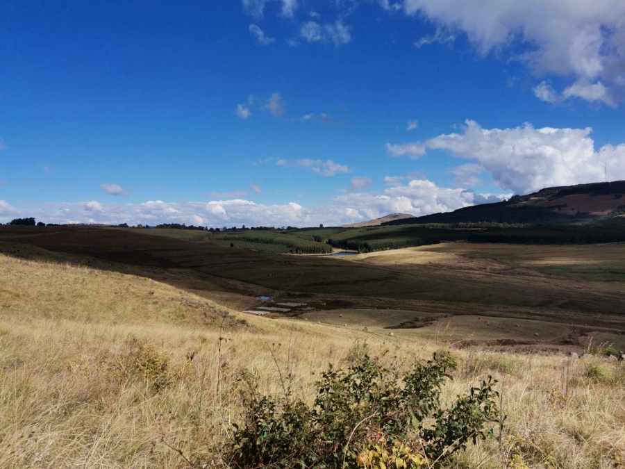 19 Bedroom Property for Sale in Donnybrook KwaZulu-Natal