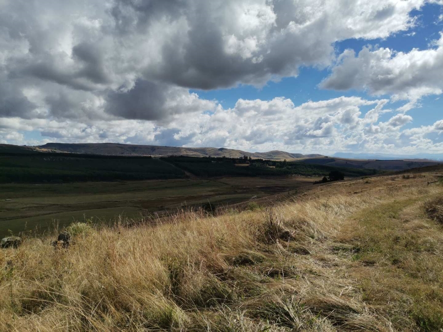 19 Bedroom Property for Sale in Donnybrook KwaZulu-Natal