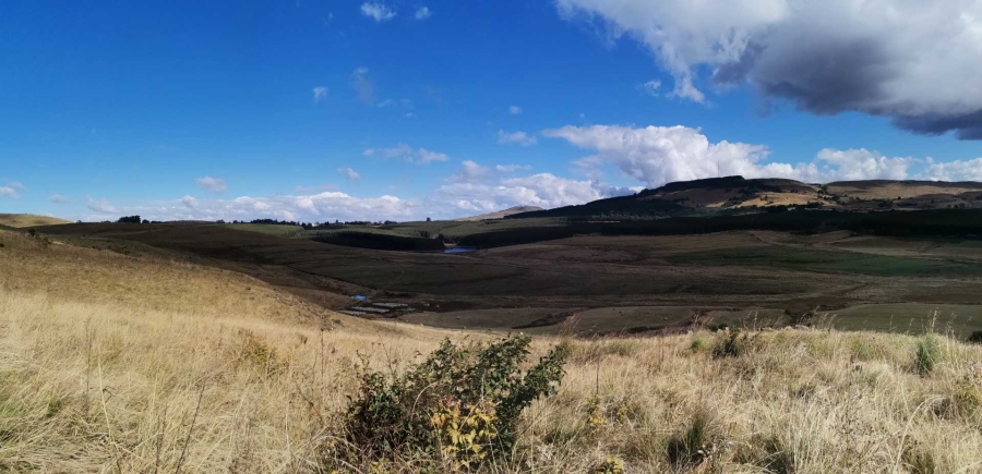 19 Bedroom Property for Sale in Donnybrook KwaZulu-Natal