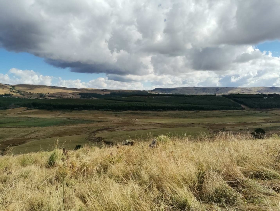19 Bedroom Property for Sale in Donnybrook KwaZulu-Natal