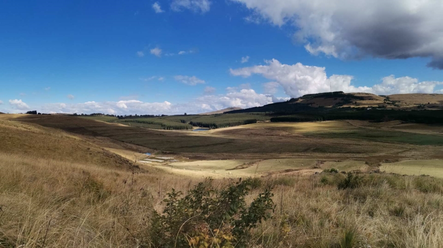 19 Bedroom Property for Sale in Donnybrook KwaZulu-Natal