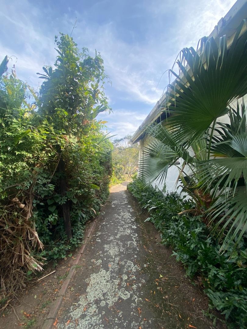 4 Bedroom Property for Sale in Westville KwaZulu-Natal