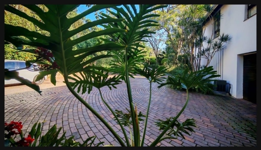 4 Bedroom Property for Sale in Westville KwaZulu-Natal