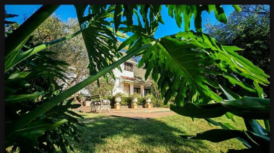 4 Bedroom Property for Sale in Westville KwaZulu-Natal