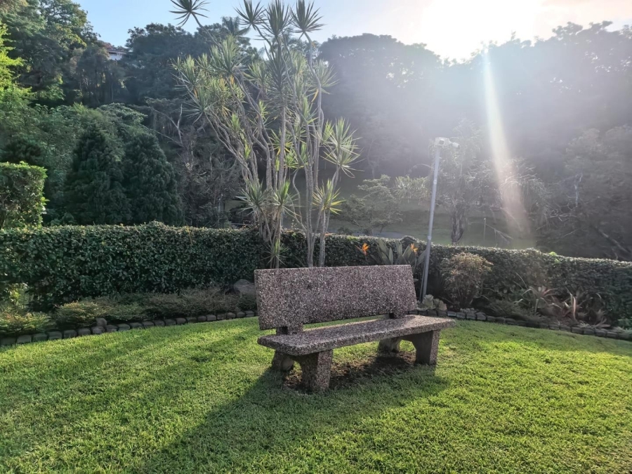To Let 4 Bedroom Property for Rent in Westville KwaZulu-Natal
