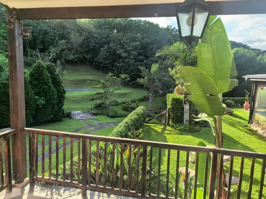 To Let 4 Bedroom Property for Rent in Westville KwaZulu-Natal