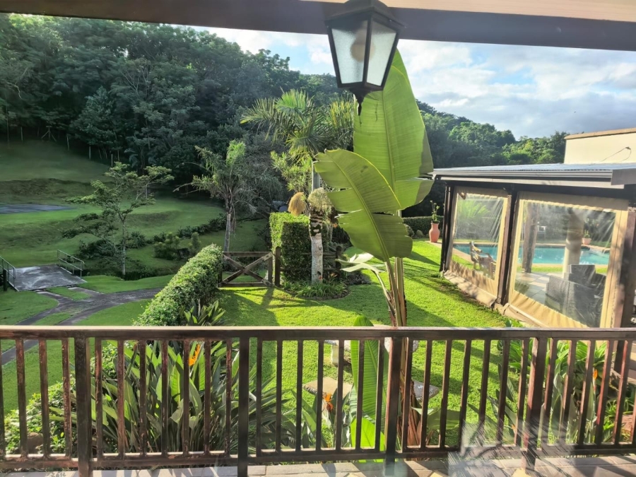 To Let 4 Bedroom Property for Rent in Westville KwaZulu-Natal