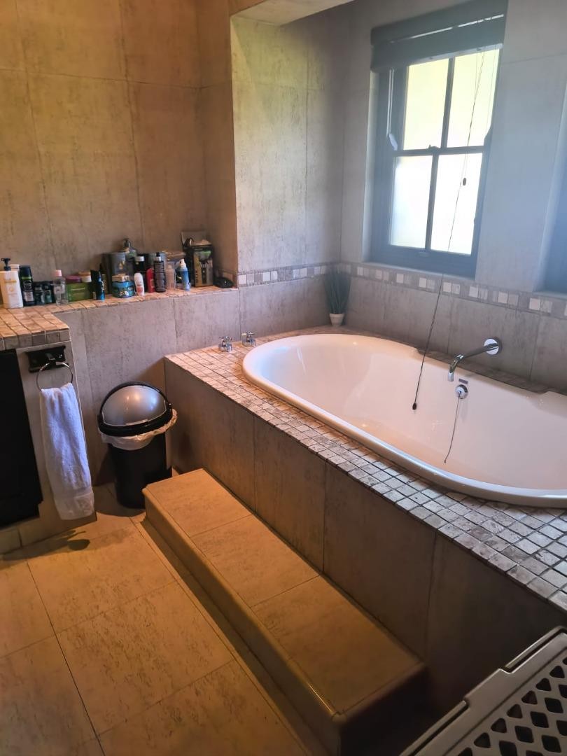 To Let 4 Bedroom Property for Rent in Westville KwaZulu-Natal