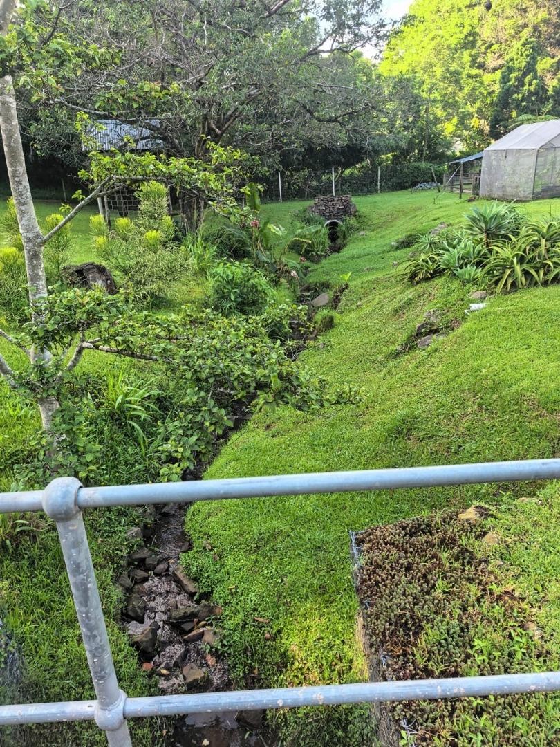 To Let 4 Bedroom Property for Rent in Westville KwaZulu-Natal