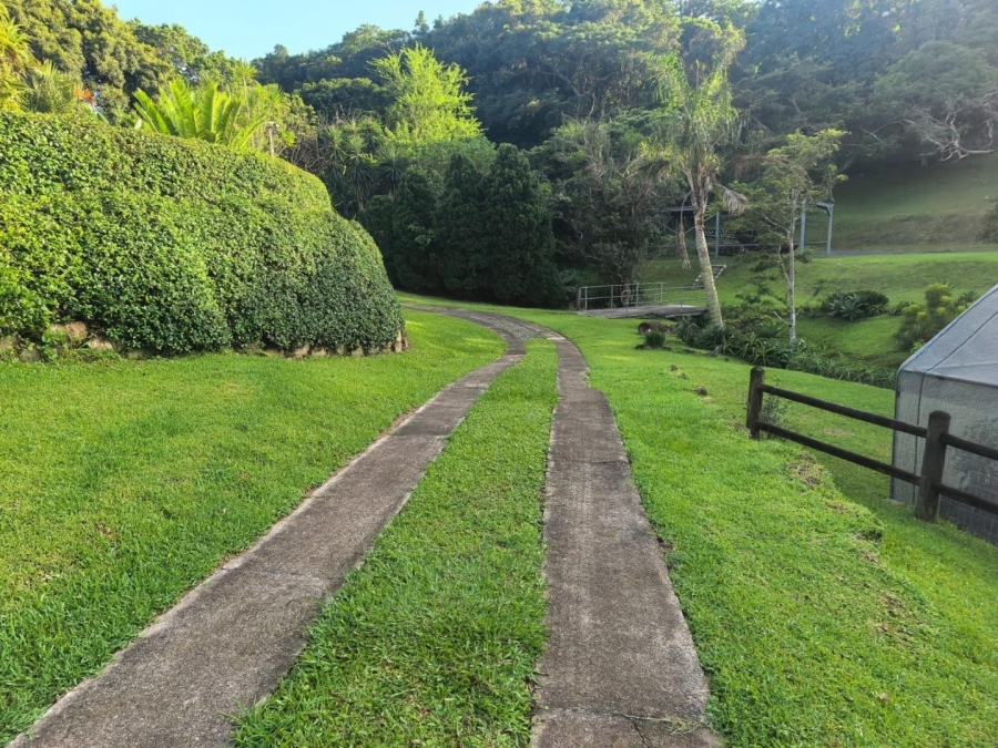 To Let 4 Bedroom Property for Rent in Westville KwaZulu-Natal