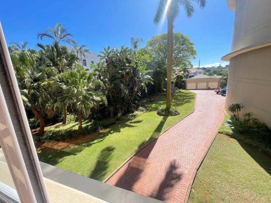 To Let 4 Bedroom Property for Rent in Musgrave KwaZulu-Natal