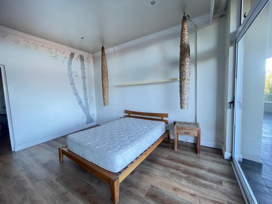 To Let 4 Bedroom Property for Rent in Musgrave KwaZulu-Natal
