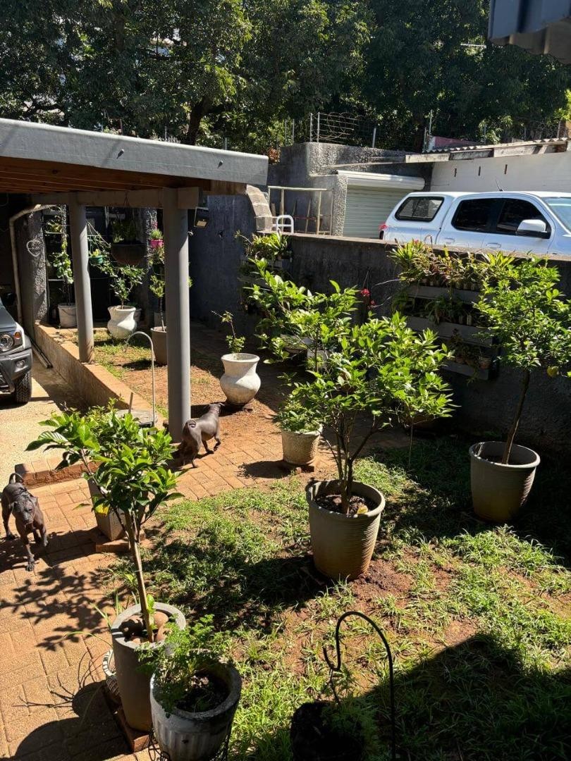 5 Bedroom Property for Sale in Glenwood KwaZulu-Natal