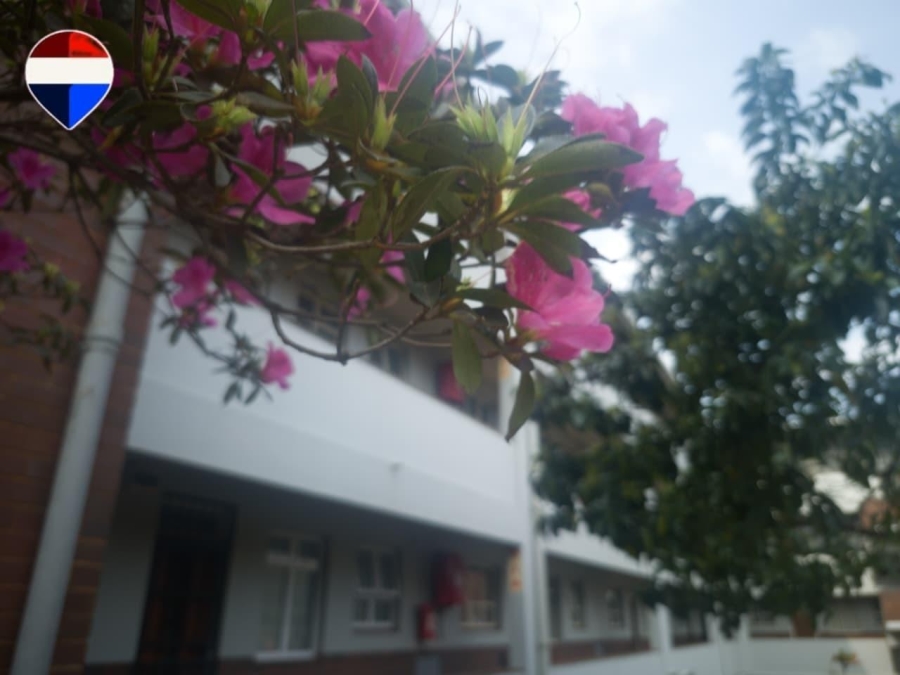 2 Bedroom Property for Sale in Bulwer KwaZulu-Natal