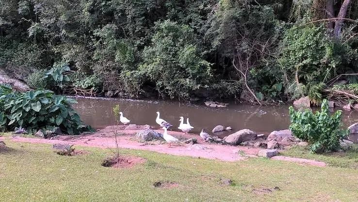 2 Bedroom Property for Sale in Escombe KwaZulu-Natal