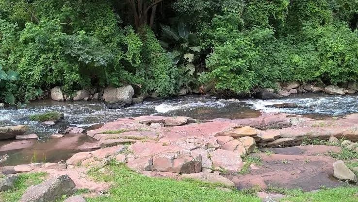 2 Bedroom Property for Sale in Escombe KwaZulu-Natal
