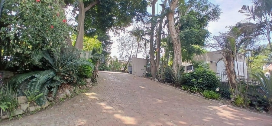 6 Bedroom Property for Sale in Westville KwaZulu-Natal