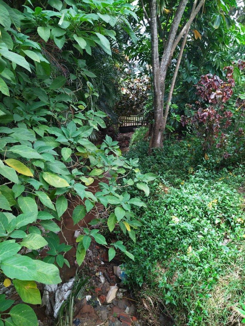 To Let 4 Bedroom Property for Rent in La Mercy KwaZulu-Natal