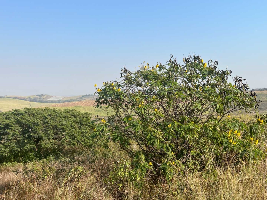 0 Bedroom Property for Sale in Zimbali Lakes Resort KwaZulu-Natal