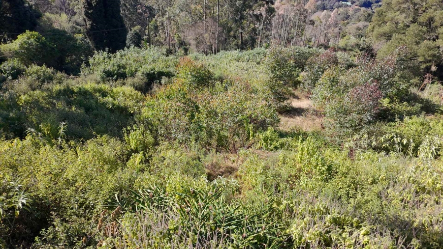 0 Bedroom Property for Sale in Winterskloof KwaZulu-Natal