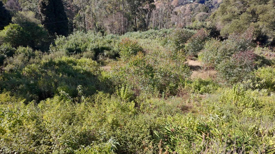 0 Bedroom Property for Sale in Winterskloof KwaZulu-Natal