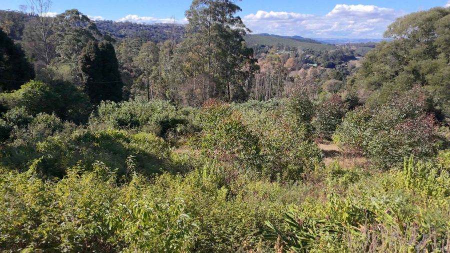 0 Bedroom Property for Sale in Winterskloof KwaZulu-Natal