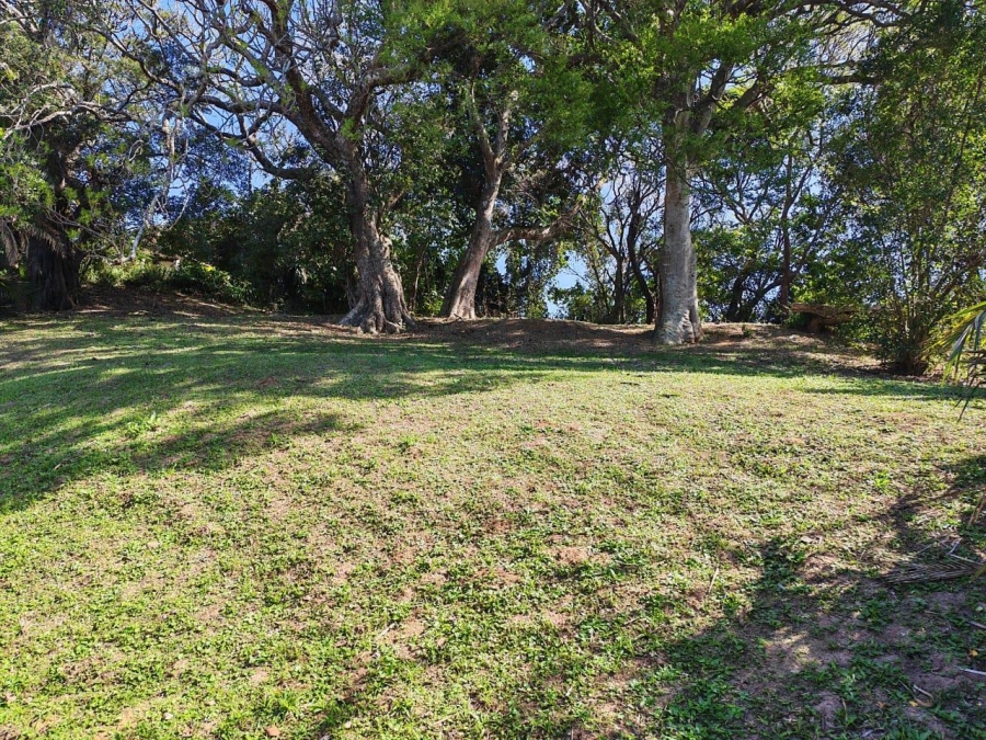 0 Bedroom Property for Sale in Essenwood KwaZulu-Natal