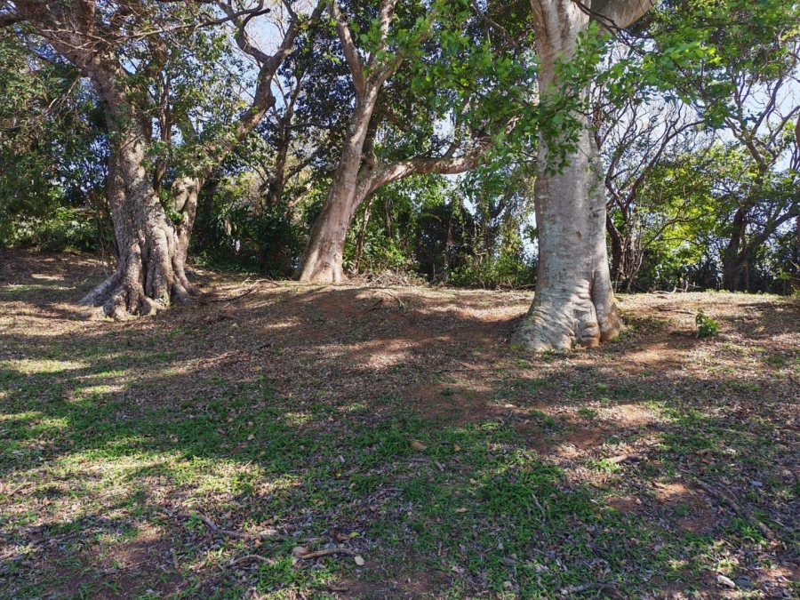 0 Bedroom Property for Sale in Essenwood KwaZulu-Natal