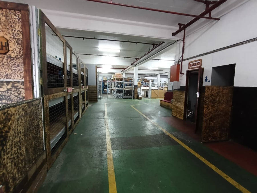 To Let Commercial Property for Rent in Pinetown North Industria KwaZulu-Natal