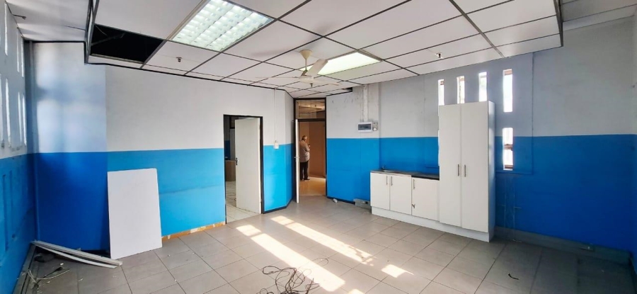 To Let Commercial Property for Rent in Warwick KwaZulu-Natal