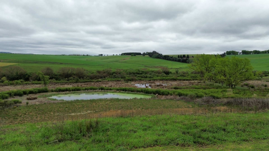 0 Bedroom Property for Sale in Rosetta KwaZulu-Natal