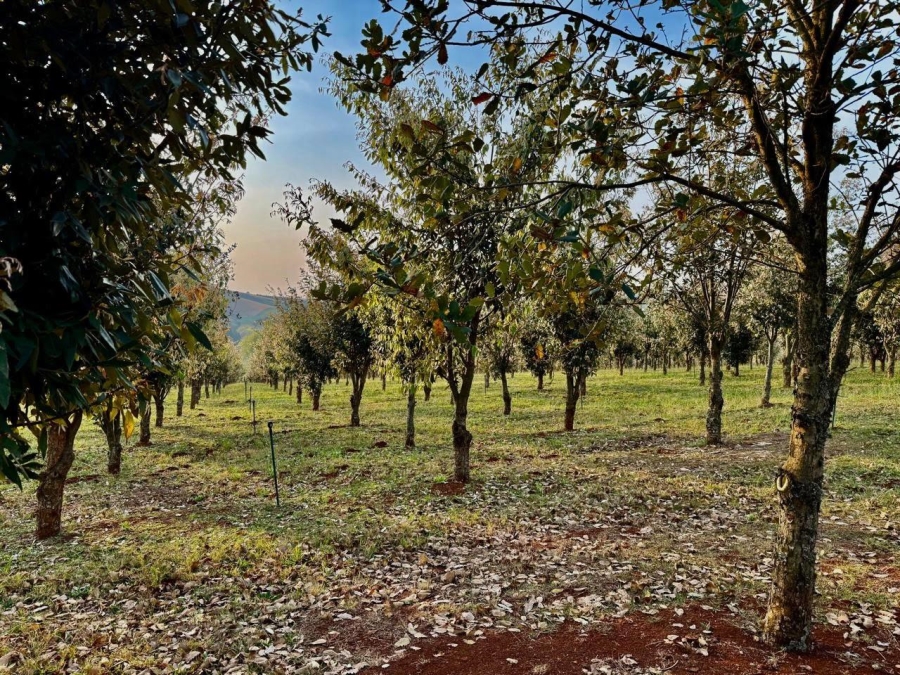 6 Bedroom Property for Sale in Lions River KwaZulu-Natal