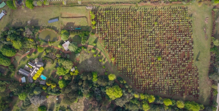 6 Bedroom Property for Sale in Lions River KwaZulu-Natal