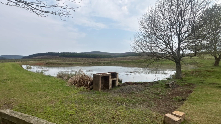 To Let 3 Bedroom Property for Rent in Mooi River KwaZulu-Natal