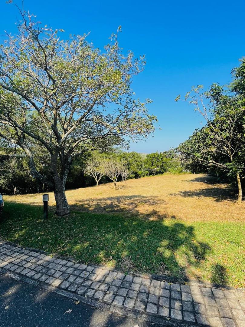 0 Bedroom Property for Sale in Palm Lakes Estate KwaZulu-Natal