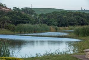 0 Bedroom Property for Sale in Palm Lakes Estate KwaZulu-Natal