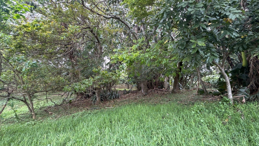 0 Bedroom Property for Sale in Simbithi Eco Estate KwaZulu-Natal