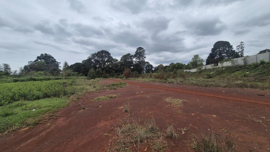 0 Bedroom Property for Sale in Howick KwaZulu-Natal