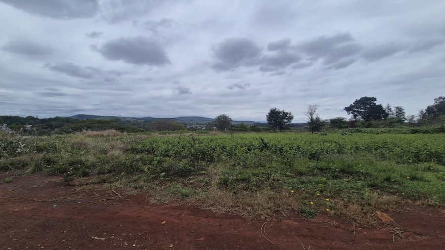 0 Bedroom Property for Sale in Howick KwaZulu-Natal