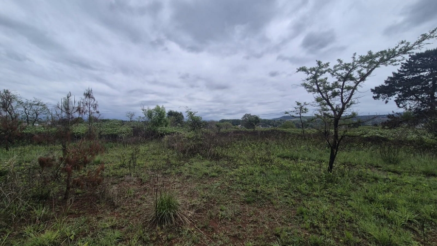 0 Bedroom Property for Sale in Howick KwaZulu-Natal