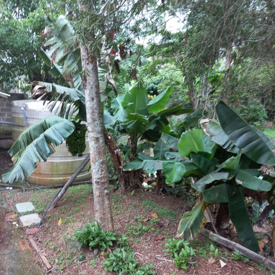 To Let 3 Bedroom Property for Rent in La Mercy KwaZulu-Natal