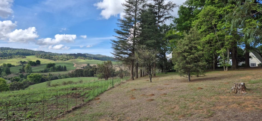 To Let 4 Bedroom Property for Rent in Balgowan KwaZulu-Natal