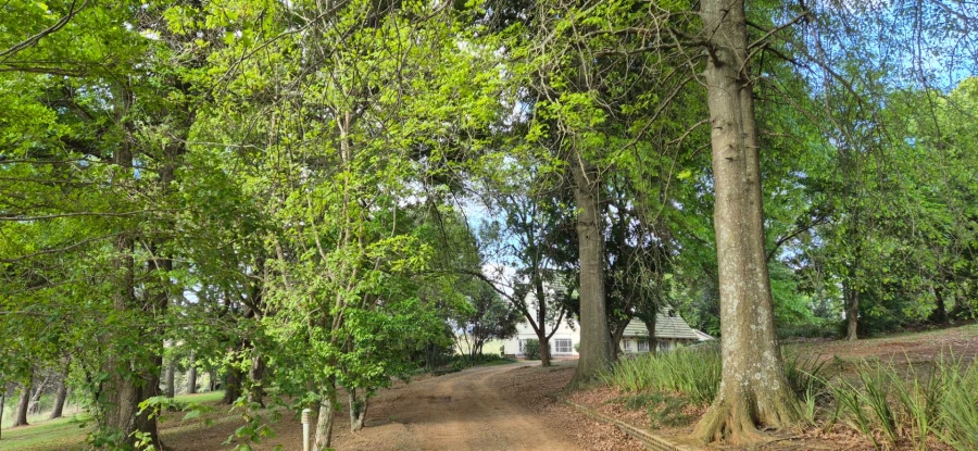 To Let 4 Bedroom Property for Rent in Balgowan KwaZulu-Natal