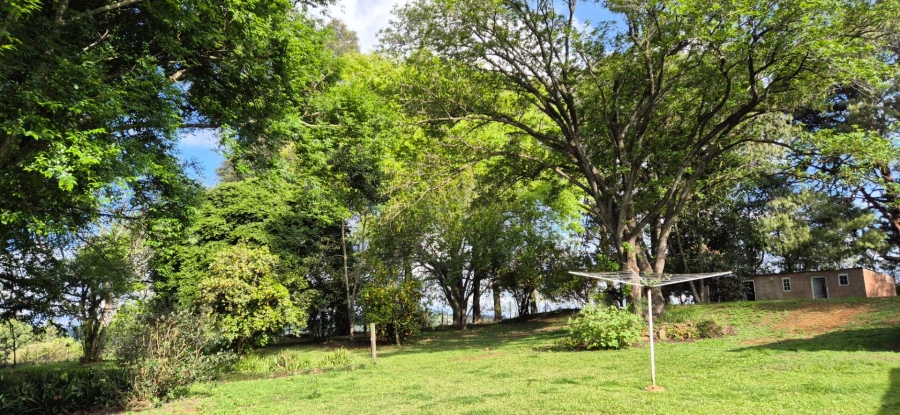 To Let 4 Bedroom Property for Rent in Balgowan KwaZulu-Natal