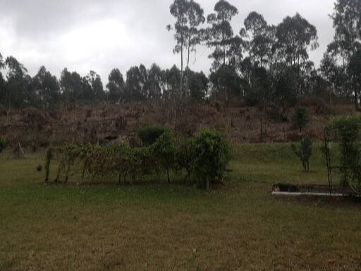 To Let 2 Bedroom Property for Rent in Drummond KwaZulu-Natal